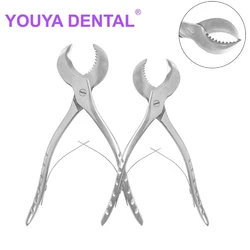 Tijeras de yeso Dental de 1 piezas, pinzas pequeñas y grandes de acero inoxidable, instrumento de yeso, alicates, Material de odontología