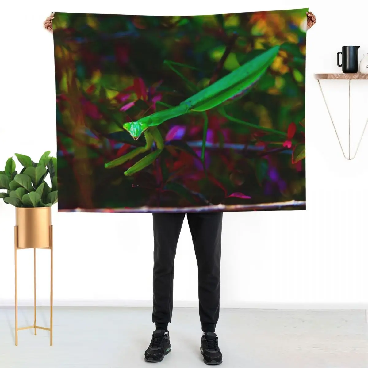 Praying Mantis Throw Blanket Plaid Thins Thin Blankets For Bed funny gift Warm Blankets
