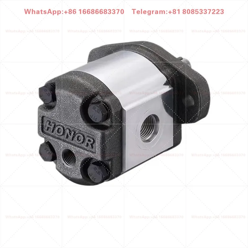 1pcs  Taiwan gear pump 1GG1P01R/05R/06R/07R/09R bidirectional motor 2GG1P09R