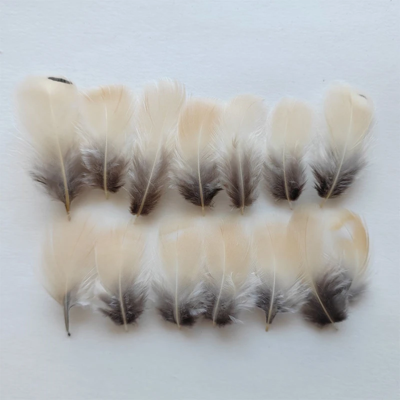 50Pcs - NATURAL Beige & Grey Chukar Partridge Hen Feathers 3-7cm Long for Craft, Millinery, and Fly Fishing - 4 Models Available