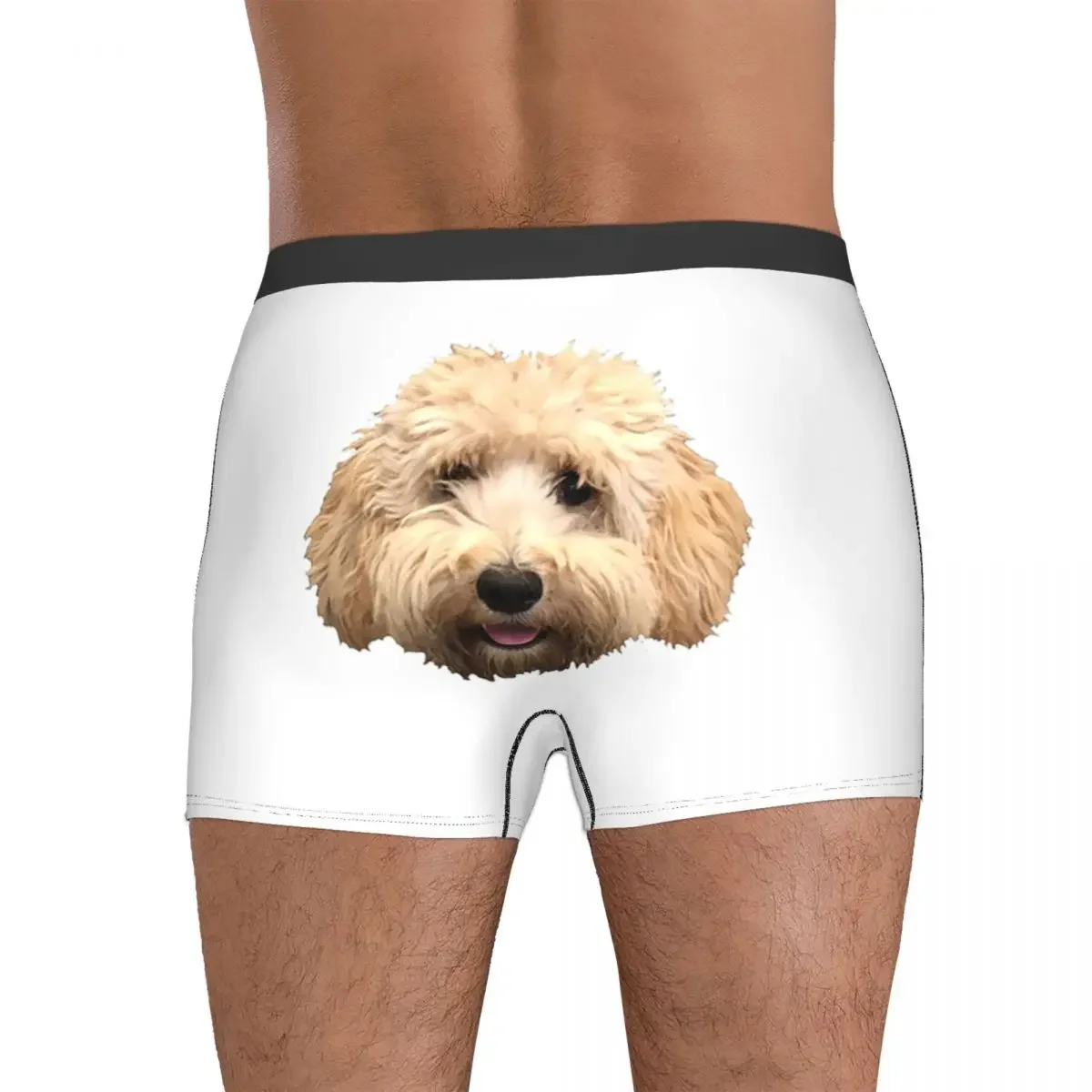 Boxer Underpants Shorts Rosie The Goldendoodle Grey Panties Men's Soft Underwear for Homme Man Boyfriend Gifts