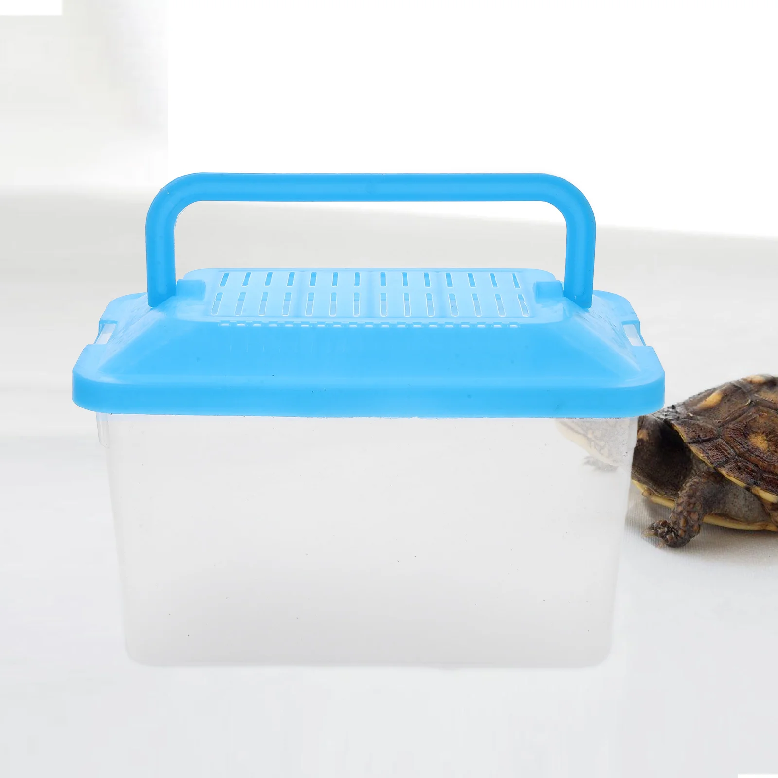 

Lightweight Turtle Tank Handheld Aquarium Creative Escape-Proof Design Ideal for Carrying and Feeding Reptile Tortoise Living