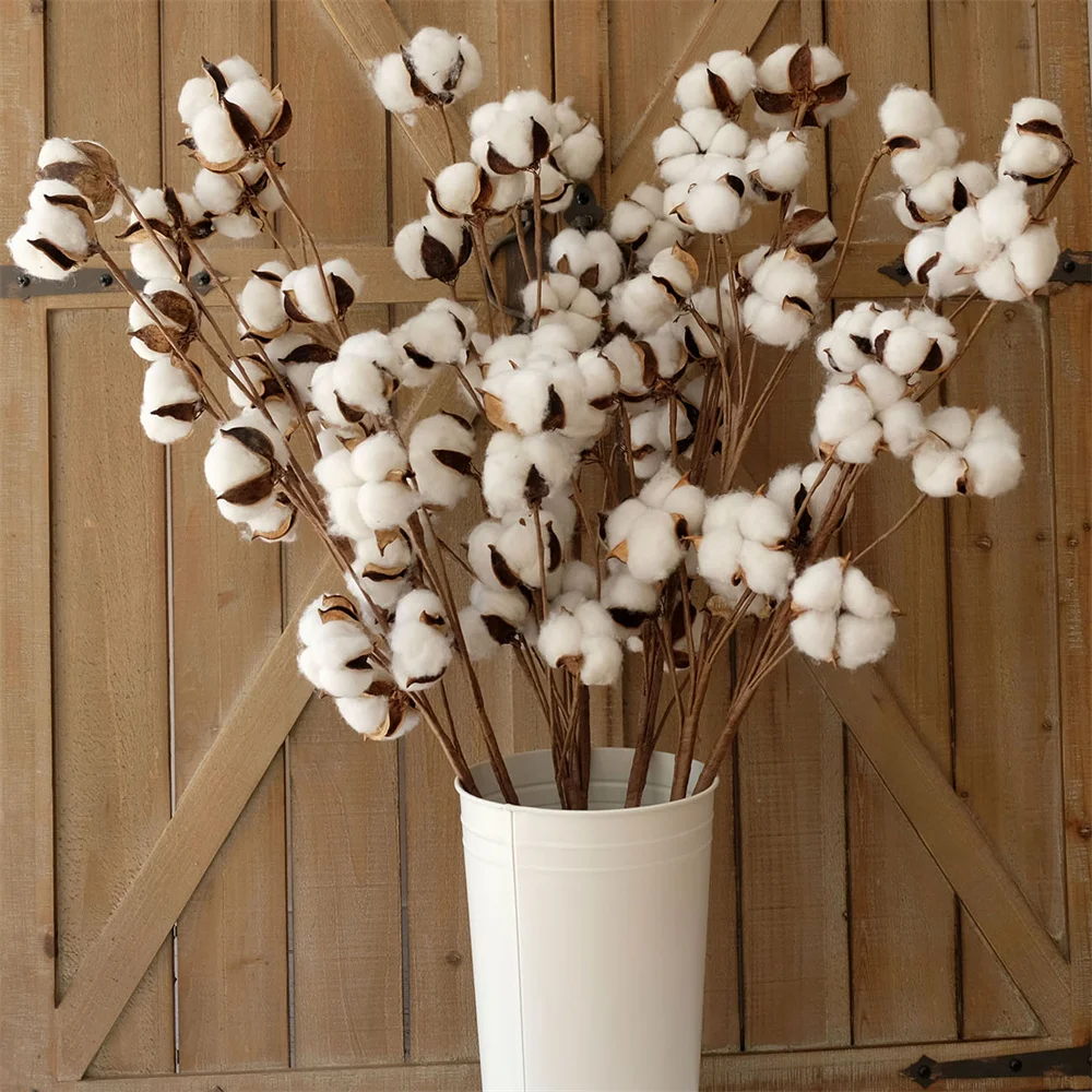 

Natural 10 Cotton Bolls Per Stem Real Elastic Cotton Stalk Rustic Floral for Home Decor Wedding Centerpiece Farmhouse Style Gift