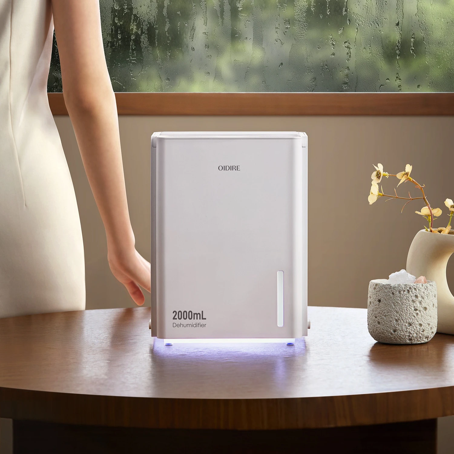 Dehumidifier Home Indoor Moisture Absorber Back to Nantian Small Basement Moisture Absorption Dehumidifier Artifact