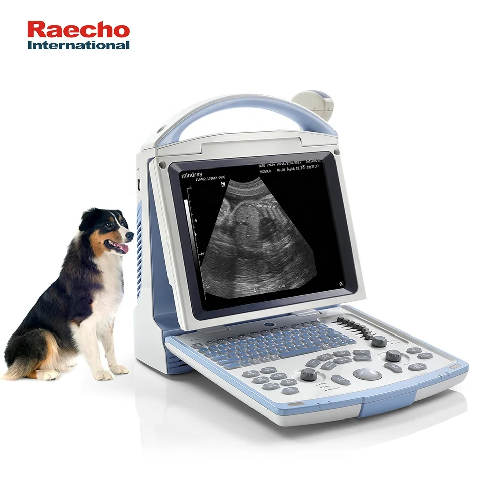 Mindray Digital Veterinary Ultrasound Machine DP-10Vet B/W System