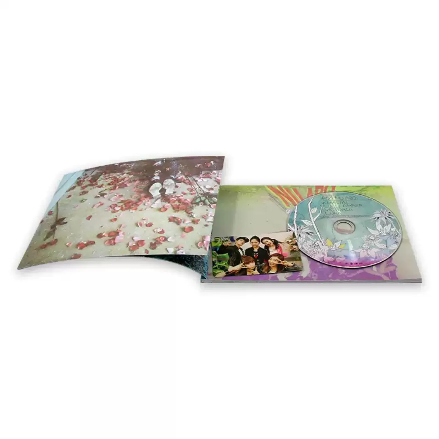 CD de Música Pop Atmosférica, Capa de Fotografia Artística com Efeito de Foco Suave, Coleção de Faixas Pop Vibrantes e Refrescantes