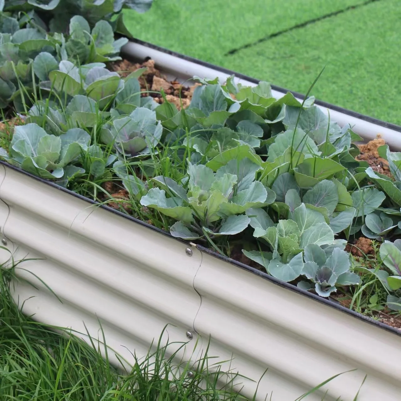 2025 High Quality English Style Planter Box Oval Raised Flower Bed with Galvanized Steel Aircraft Coating Durable Garden Bed Pot