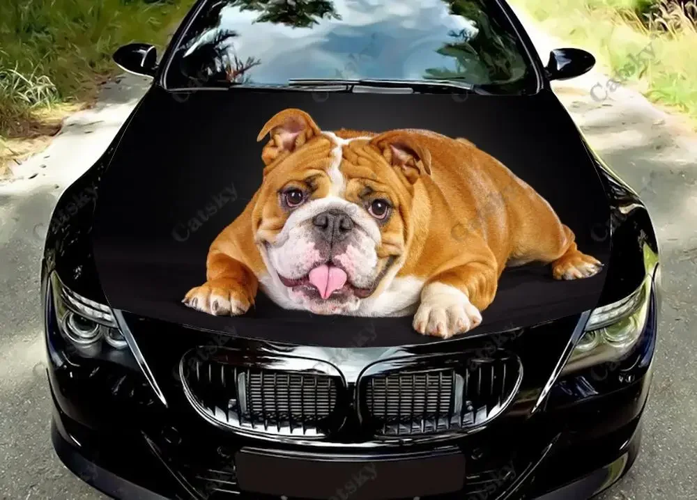 

English Bulldog Car Hood Vinyl Stickers Wrap Vinyl Film Engine Cover Decals Sticker on Car Auto Accessories