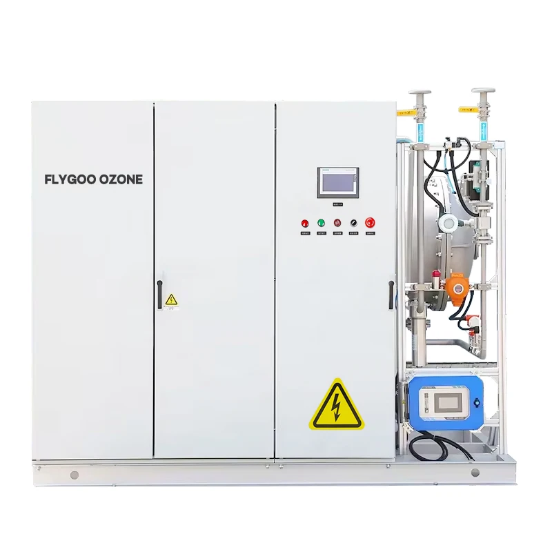 Flygoo Aquarium Water Treatment Electrical Ozonator Fish Farming 8kg/h Ozone Generator  Equipment System