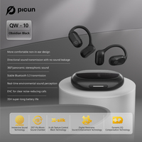 Picun QW10 Open-Ear True Wireless Bluetooth Headphones with Microphone, Earbuds with Earhooks, Sweat Resistant, Fast Charging,