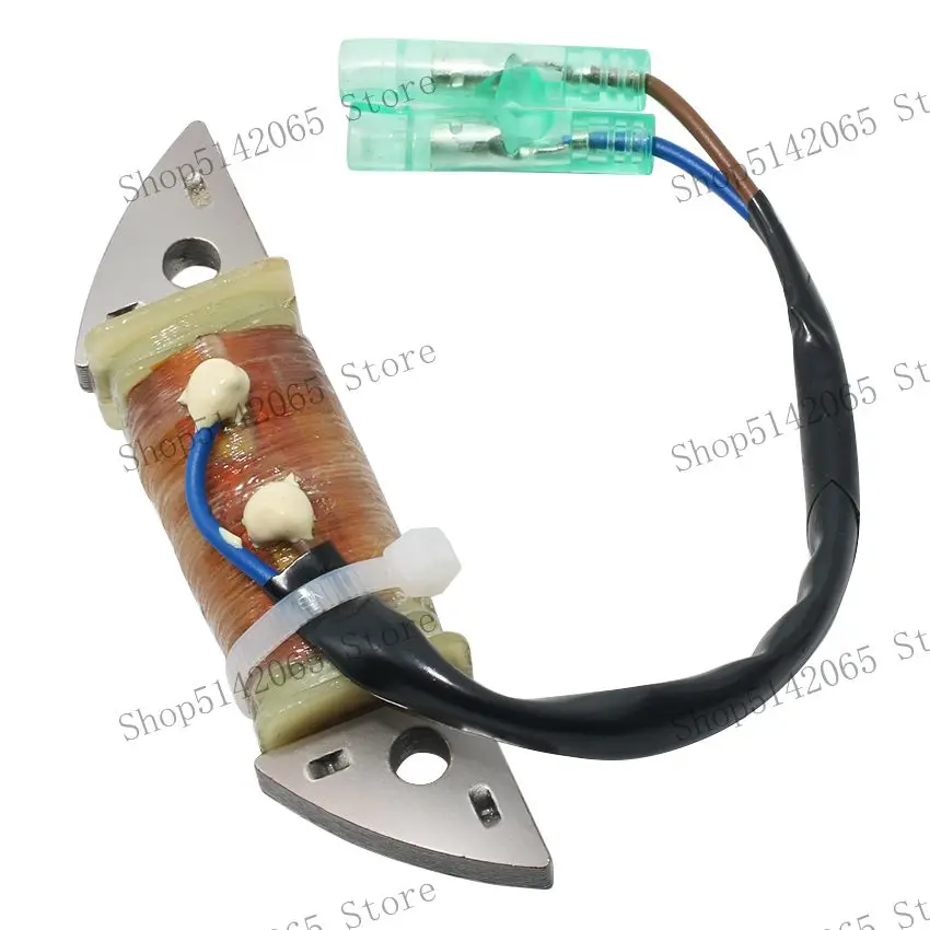 6B4-85520-00 Engine Ignition Stator Coil Accessories For Yamaha 9.9HP E9.9D MHS/L 2003 15HP E15D MHS/L/XL 2003 Rotor Stators