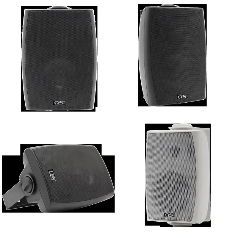 Professional 30W 5 Inch Wall Mounted Speaker 110V Two Way Fashion Speaker Suitable For School Classroom Background Music
