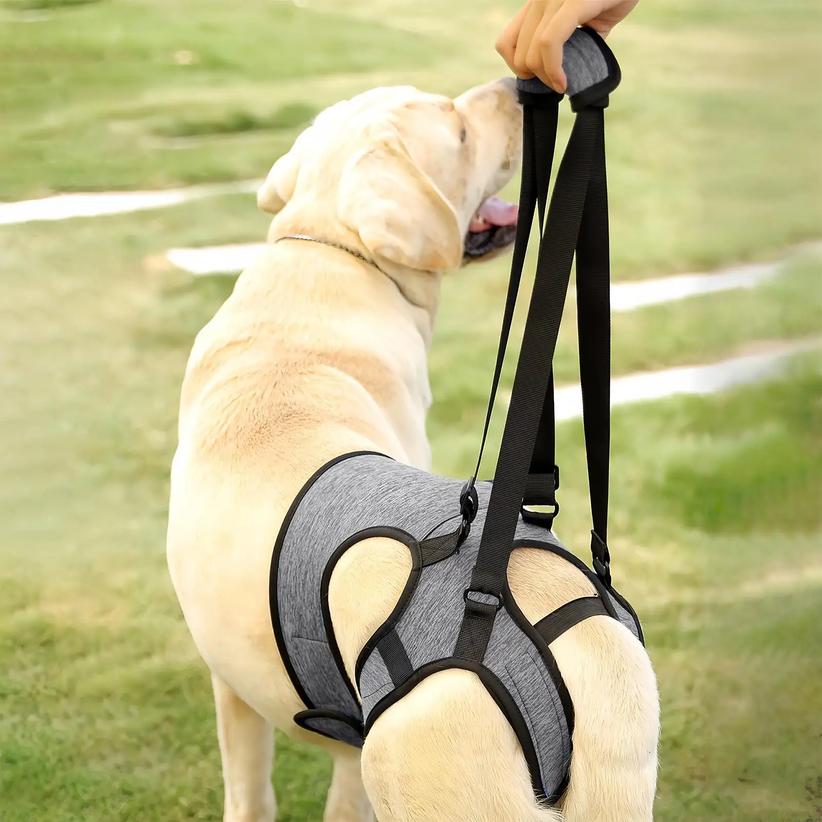 

Dog Assist Harness Elastic Quick-Release Carrier Aid Rear Leg Sling For Dogs For Pet Indoor Walking Vet Visit Car Bathing