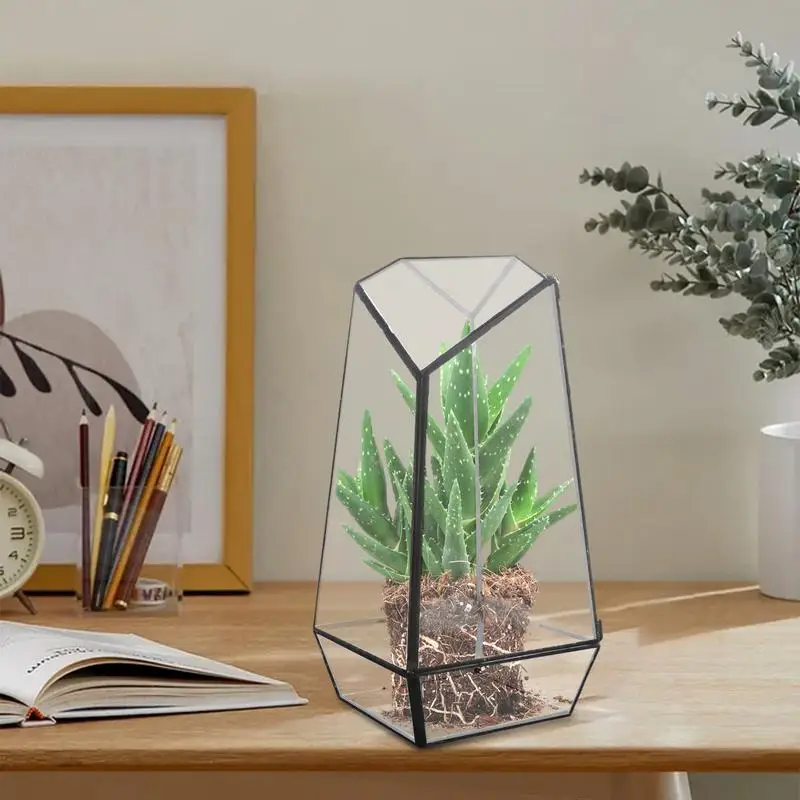 Terrario de vidrio para plantas, maceta moderna hecha a mano con puerta de 25cm, maceta pequeña geométrica