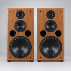 10 Inch Bookshelf Speaker 200W Monitor Speakers 8Ohm Bass Silk Film Tweeter F109 Speaker Fever Passive Sound Box 1Pc For Home