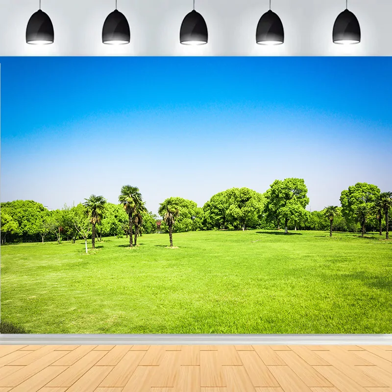Fonds de photographie de paysage urbain paisible avec ciel bleu, herbe et jardin baigné du soleil du matin CG-03
