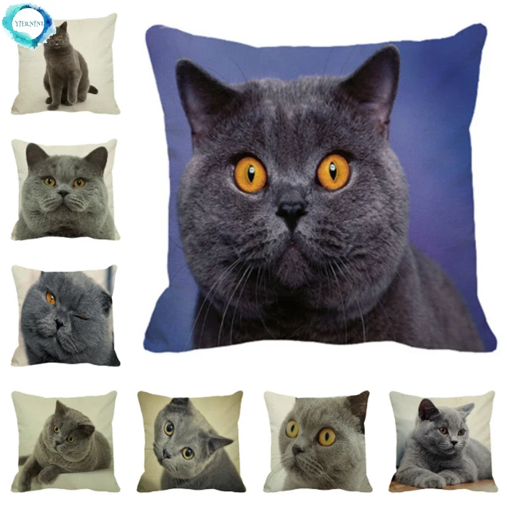 British Shorthair Cat Cotton Linen Sofa Throw Pillow Cover Sofa Decorative Pillowcase Animal Print Square Cushion Cover 45X45cm