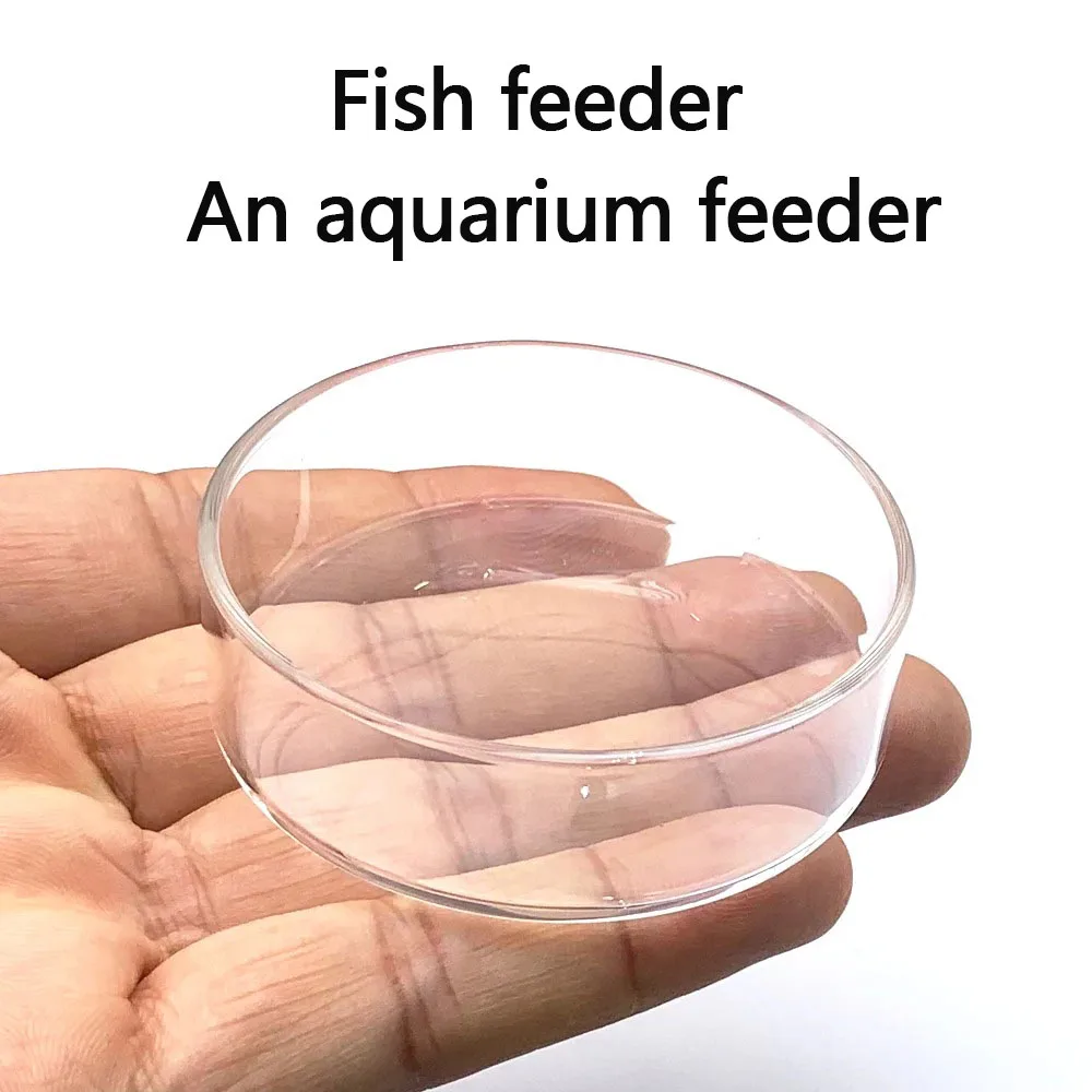 Aquarium Feeder Acrylic Transparent Floating Bottom Feeder Fish Round Dishes Shrimp Food Box Fish and Shrimp Feeding Accessories