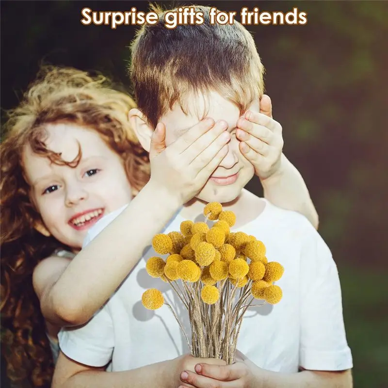 ABKJ-48 قطعة الزهور المجففة الكرات المجففة المجففة Craspedia الزهور زر الأصفر الزهور المجففة وهمية الحرير المجففة زهرة #4