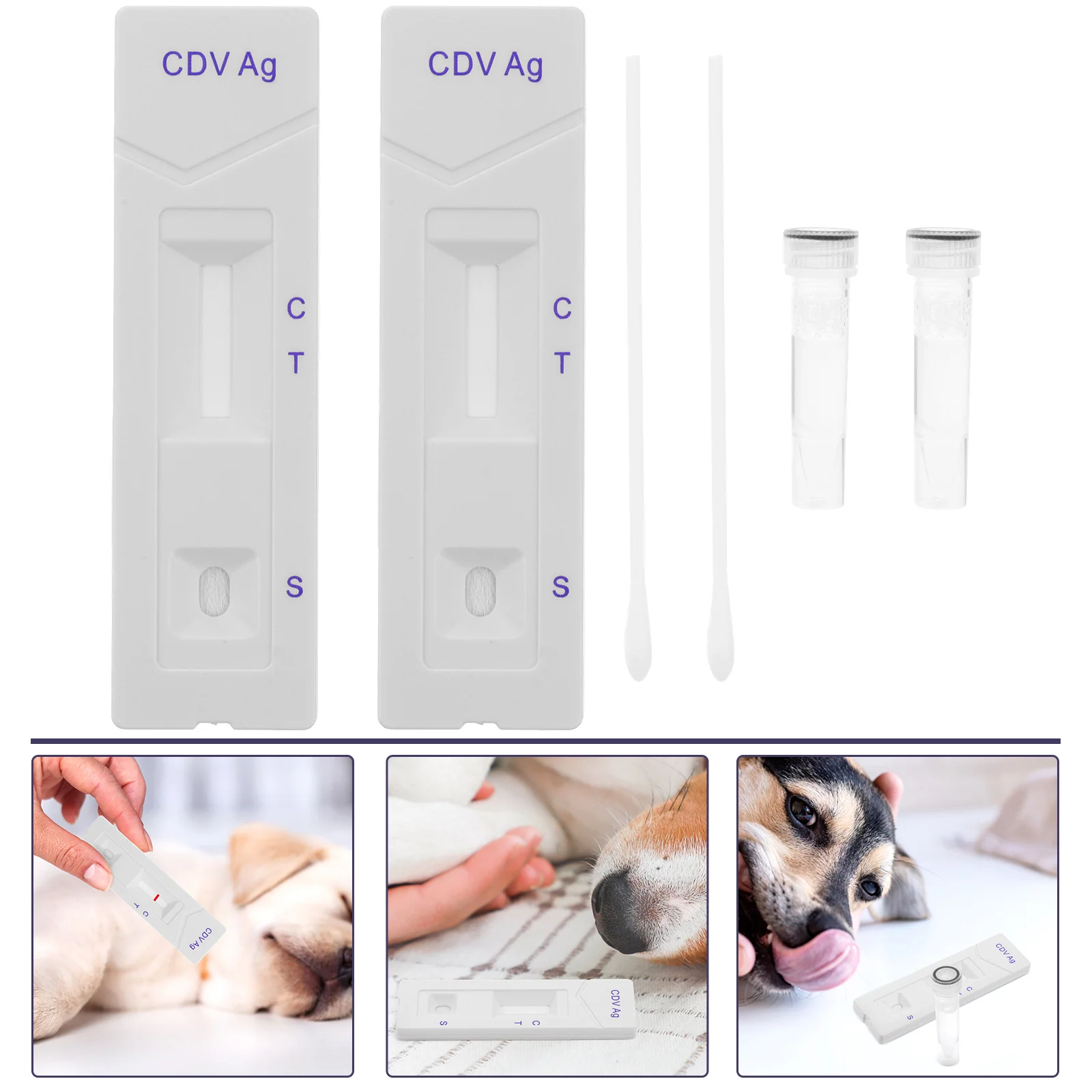 Pet Test Strips Dog DNA Parvo Practicaltesting Canine Distemper Professional Cpv Paper for Suite