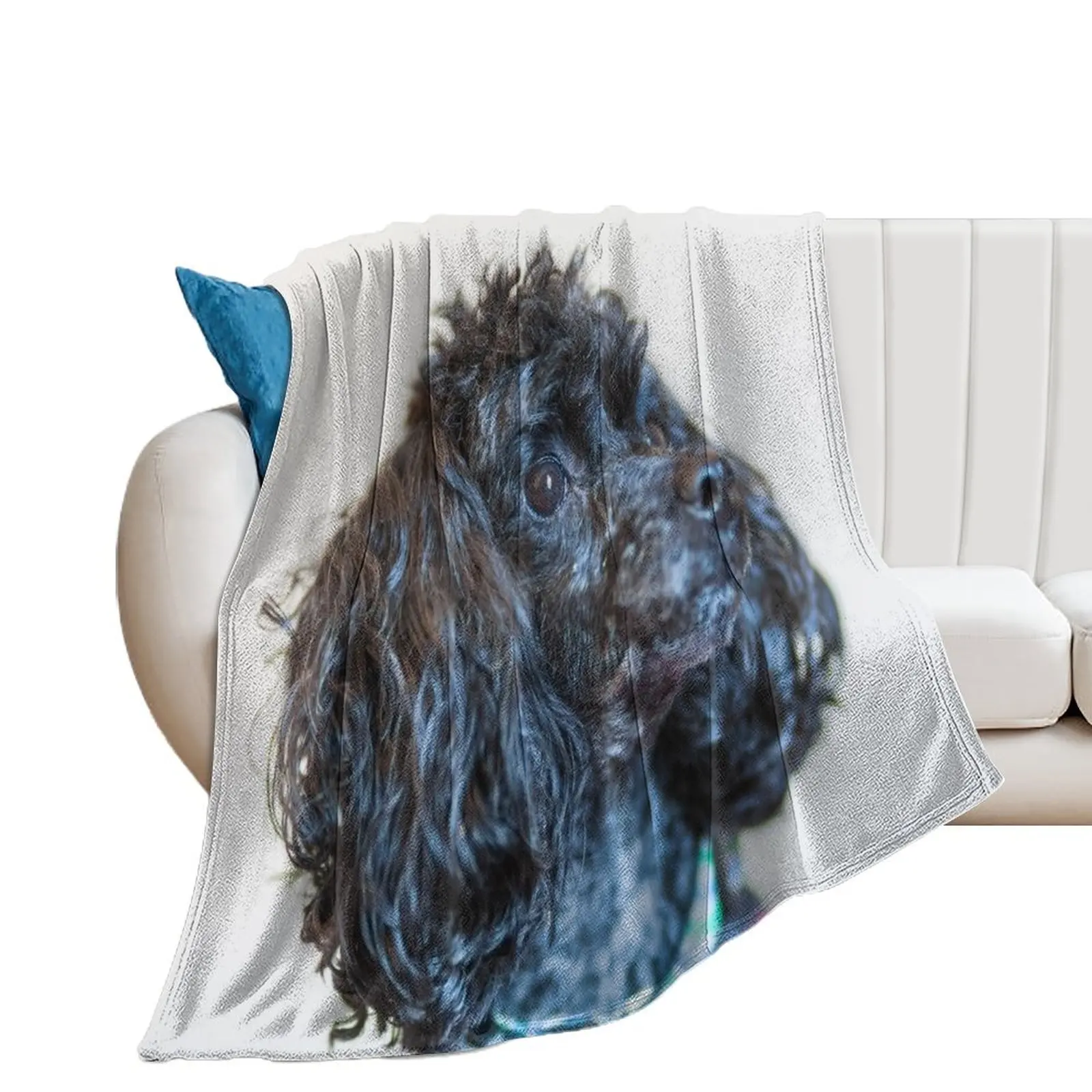 Classic poodle Throw Blanket wednesday Decoratives Thermal for sofa Blankets