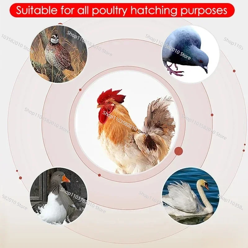 Household Eggs Incubator Farm Poultry Fully Automatic Turning Egg Incubator for Chicken Goose Duck Birds