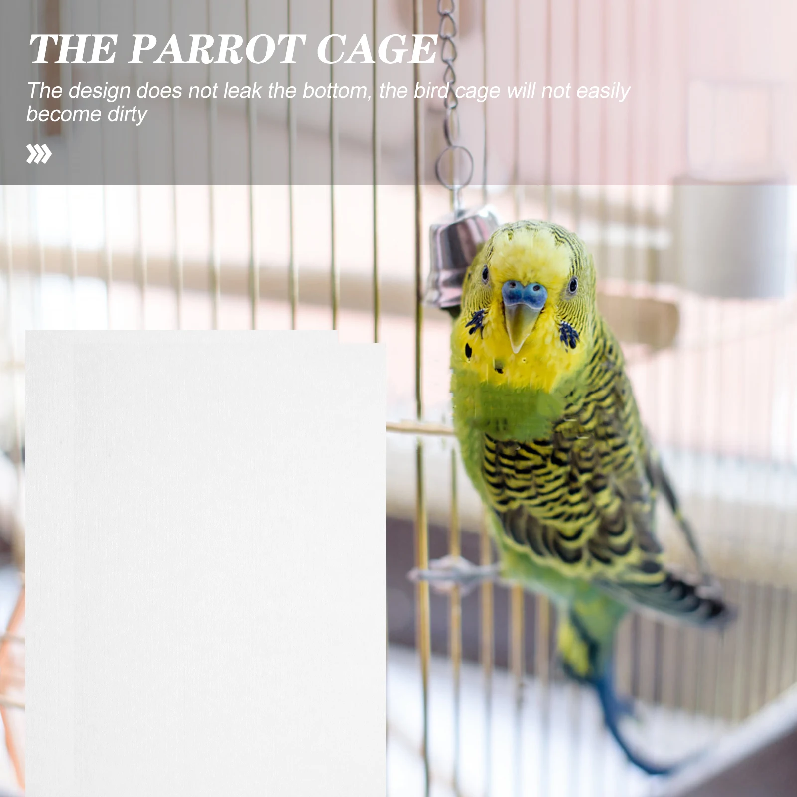 

100 Pcs Water Absorption Tray Bird Cage Liner Papers Small Pet Pads for Liners Supplies Healthy