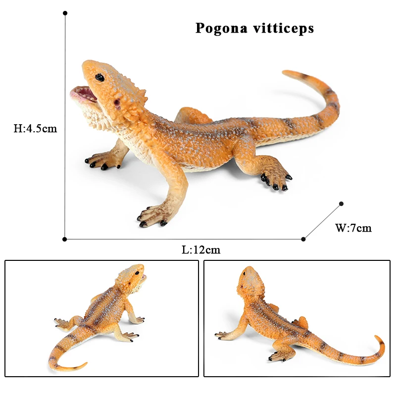 Oenux Neue Simulation Wilde Reptil Tiere Action-figuren Eidechse Modell Figuren Kinder Bildung Kognitive Szene Dekoration Spielzeug – Detail 13