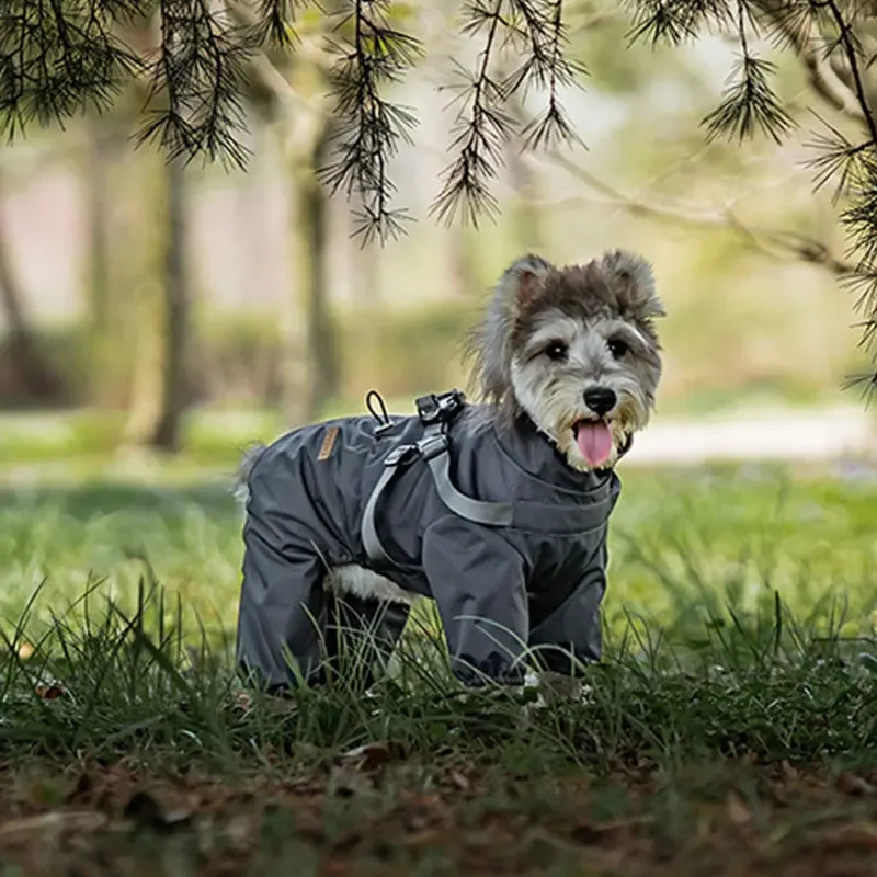 Hunde-Regenmantel mit Geschirr, wasserdichte Jacke für kleine Hunde, verstellbarer, reflektierender Hunde-Regenoverall, vierbeiniger Regenmantel für Haustiere. – Detail 5