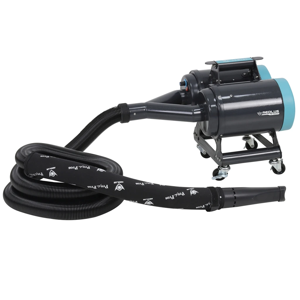 The Powerful Car Blower Ever | Efficient, Touch-less, Fast | Powerful Tool for Car Drying