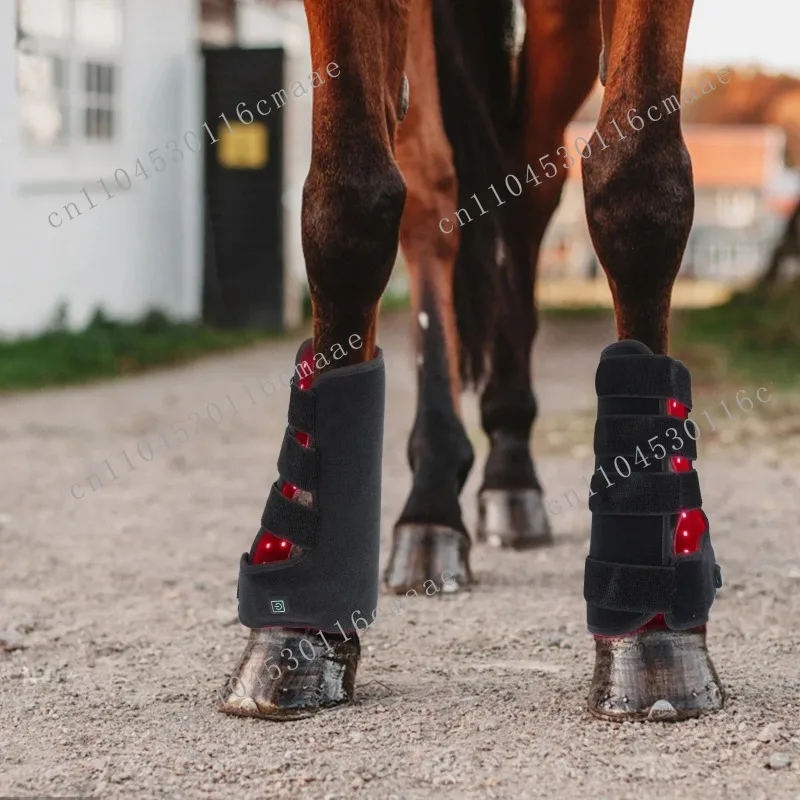 Pet Horse Equipment 660nm 850nm Led Red Light Near Infrared Horse Muscle Boots   Pod Post It