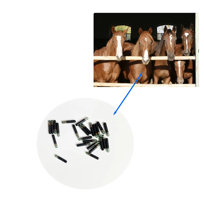10pcs 2.12x12mm RFID Glass tag ISO11784/5 FDX-B 15digits animal microchip for buffalo identification +1pc syringe as free sample