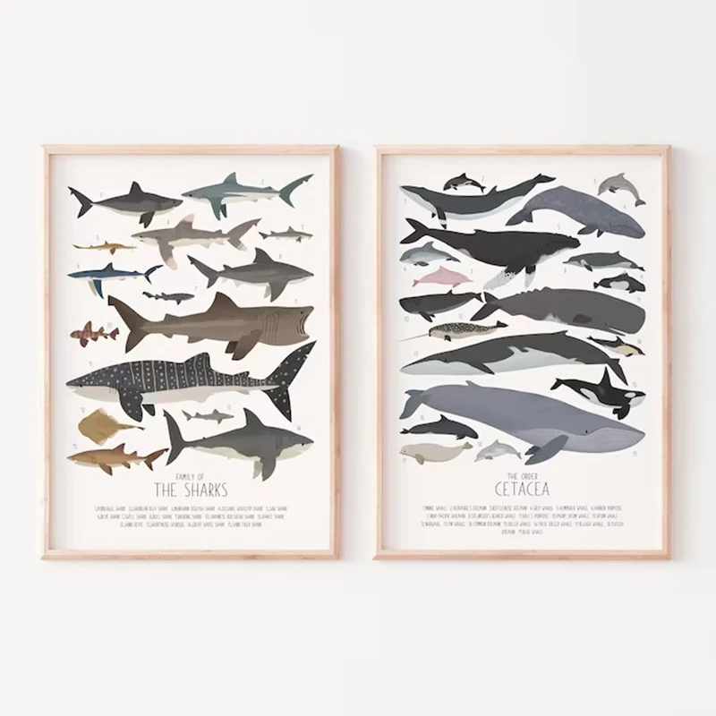 Deep-Sea Fish and Sharks Science Alphabet Education Poster Decorative Painting Canvas Picture Art Print Wall Kids Nursery Room