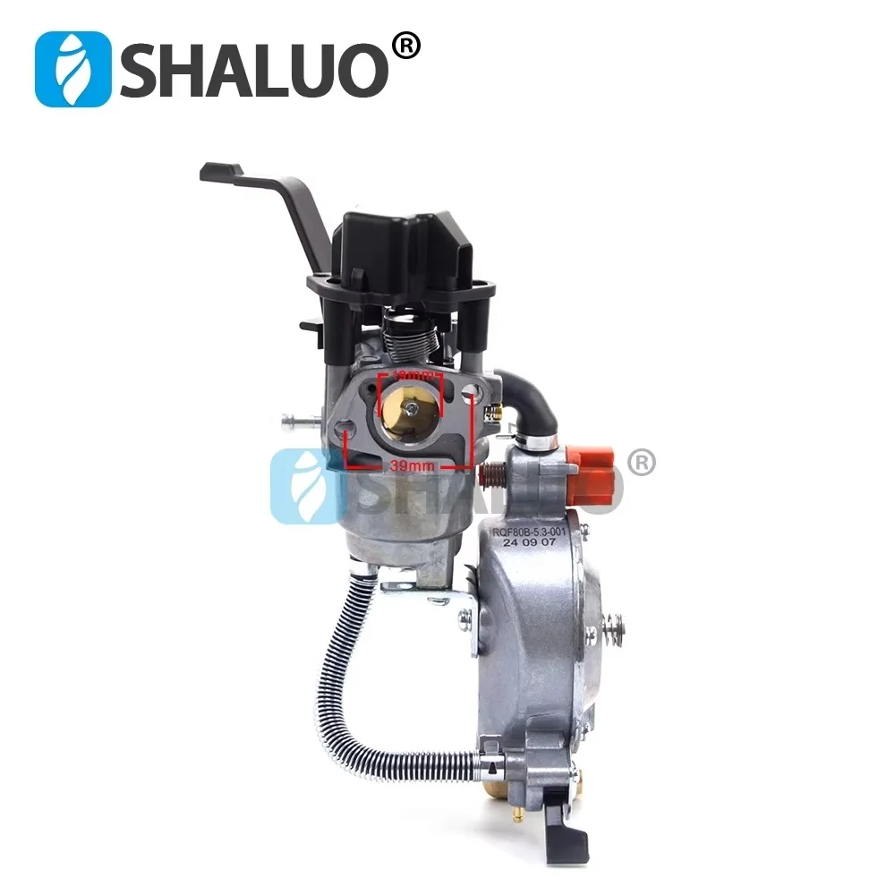

Hot Sale P19B Frequency Conversion LPG Carburetor For GX160 168F 170F 3KW 6.5HP Generator Dual Fuel Carburetor Kit With Gaskets