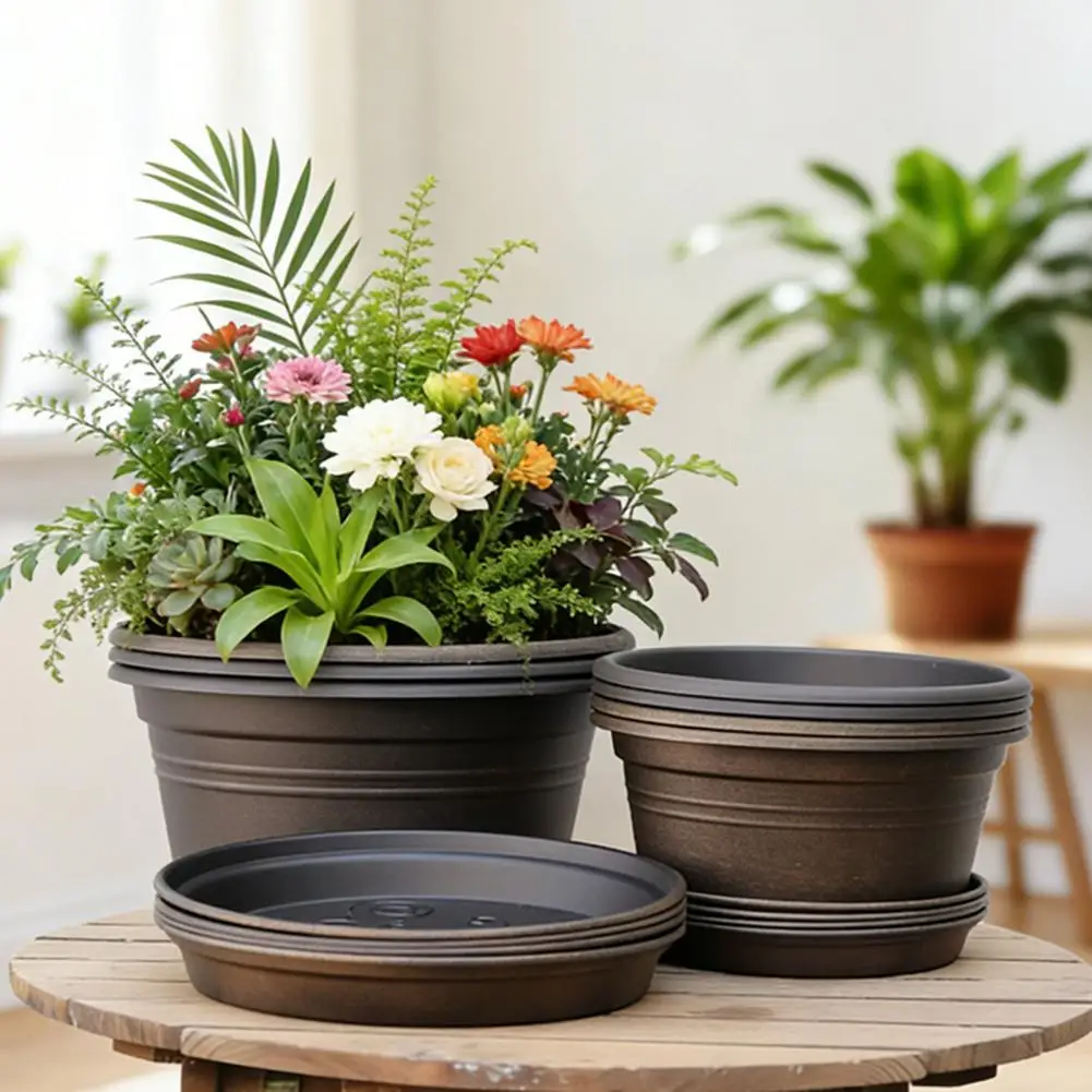 Bulb Flower Pots Resin Planters for Bulbs Bulb Plant Pot with Saucer 10 Inch Wide Flowerpot with Drainage Holes for Tulips
