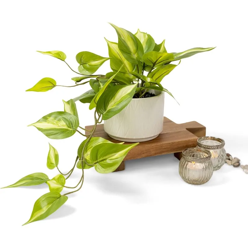 Fake pothos Plant | Fake Plant for Shelf Decor |14