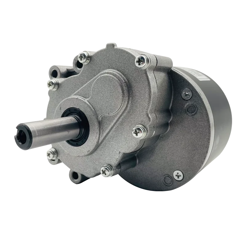 moteur-electrique-pour-fauteuil-roulant-my1016z-24v-250w-motoreducteur-brosse-a-basse-vitesse-pour-chaises-electriques