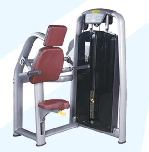 

YG-2047 Commercial Gym Seated Dip Machine for Sale Strength Trainer Triceps Dip Equipment