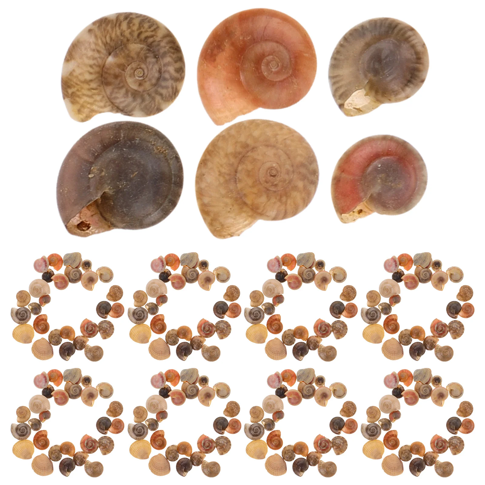 

Natural Snail Shell Accessories for Micro L Decor Supplies Lightweight Safe DIY Pendant Jewelry Craft ornaments
