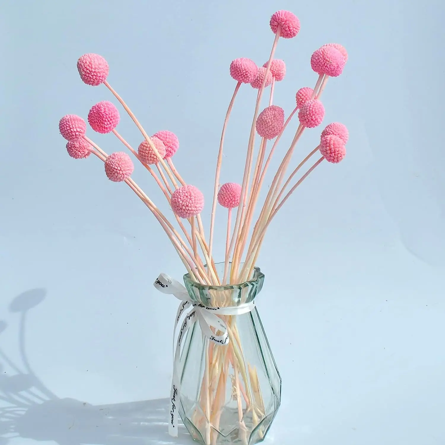 20Stems Billy Ball Flower,Australian Drum Stick Chrysanthemum,Eternal Life Flower for Home,Wedding,Party Themed Decorations DIY