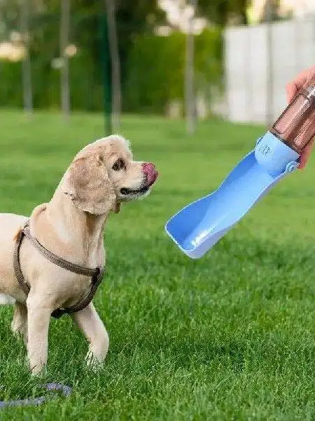 portable-dog-water-bottle-for-walking-dog-water-bottles-pet-supplies-travel-essential-no-brand-registered-trademark