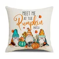 D PILLOWCASE ONLY