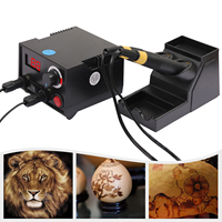 Digital Screen Pyrography Machine Kit Temperature Adjustable 220V with 20 Piece Pyrography Wire Tips (Dual Pen)