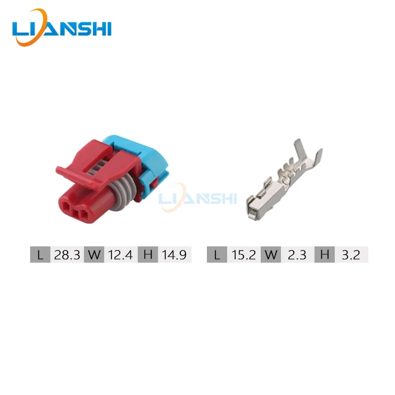 2pin Delphi 12052643 carbon tank solenoid cold air pump electric injection valve plug DJ7024Y-1.5-21