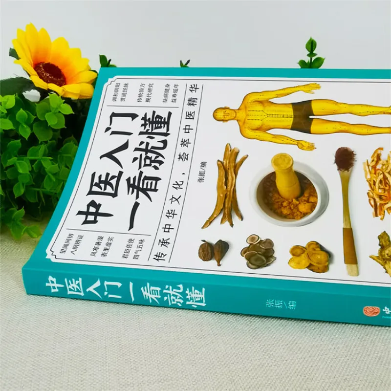 An introduction to traditional Chinese medicine can be understood at a glance