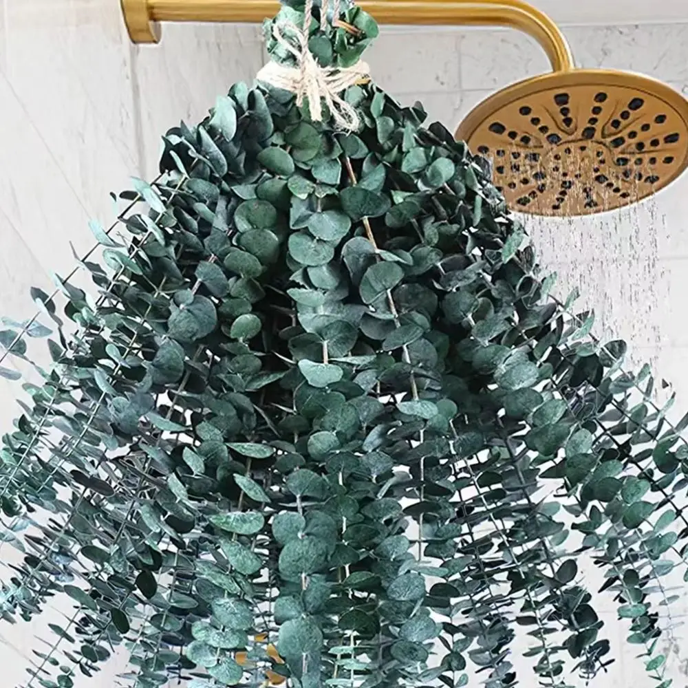 10 Pcs Real Leaves Hanging Dried Eucalyptus Large 22 inch Artificial Plants Flowers Green Multi-Purpose