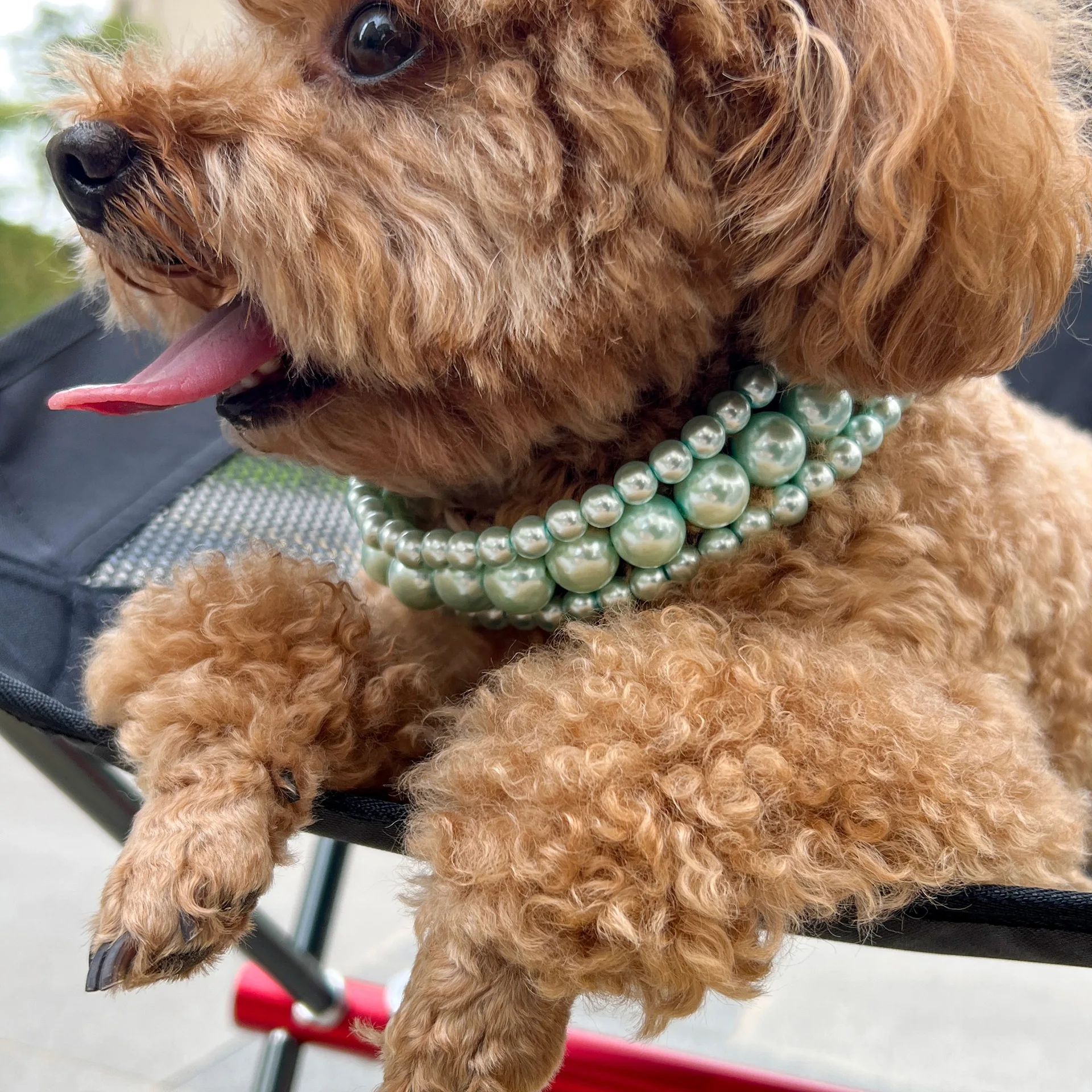 

DIY accessories Pet Collar Multi-layer Pearl Necklace Small Dog Teddy Fadouying Short Collar 23020