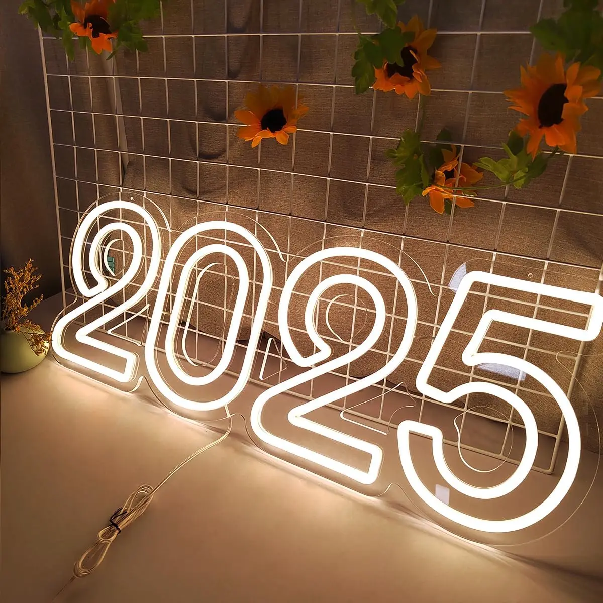 Numbers 2025 Neon Sign Warm White LED New Year Wall Decor USB powered With Dimmer For Bedroom Bar Christmas Party Art Lamp