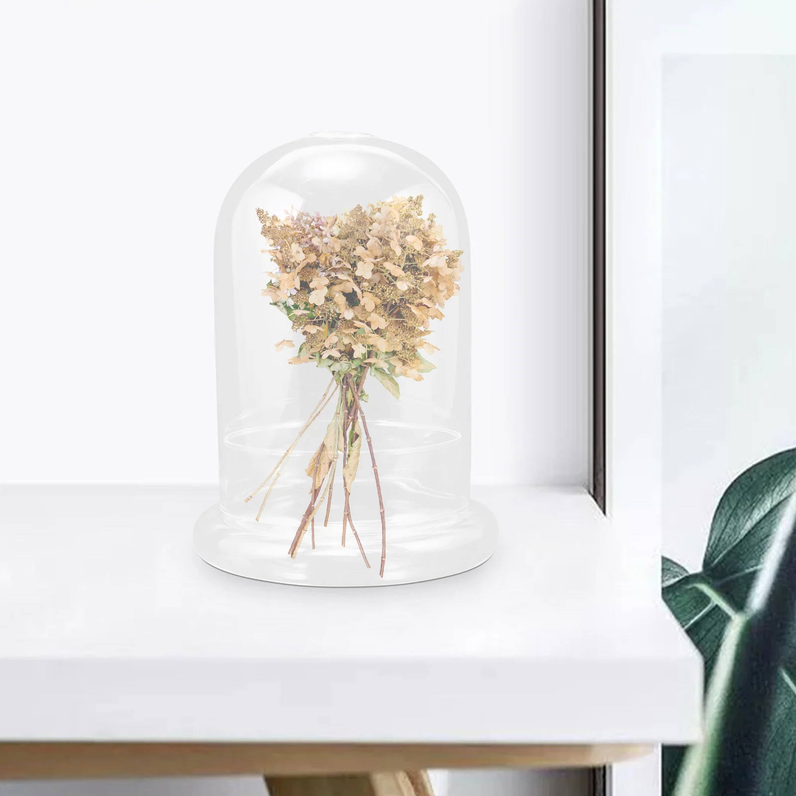 

1Set Glass Dome Decor Transparent Display Cover with Base for Preserved Flowers Air Plant Terrarium Craft Desktop Decor Cloche