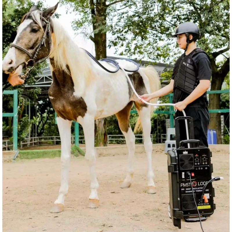 

Horse Magnetic Therapy Machine Portable PEMF Device for Veterinary Pain Relief and Rehabilitation